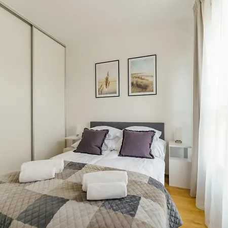 Seagrass Surfingbird * Dźwirzyno