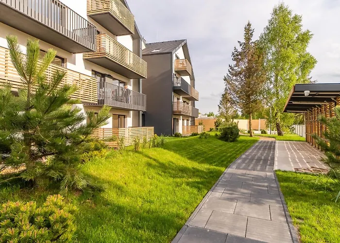 Seagrass Surfingbird Dźwirzyno